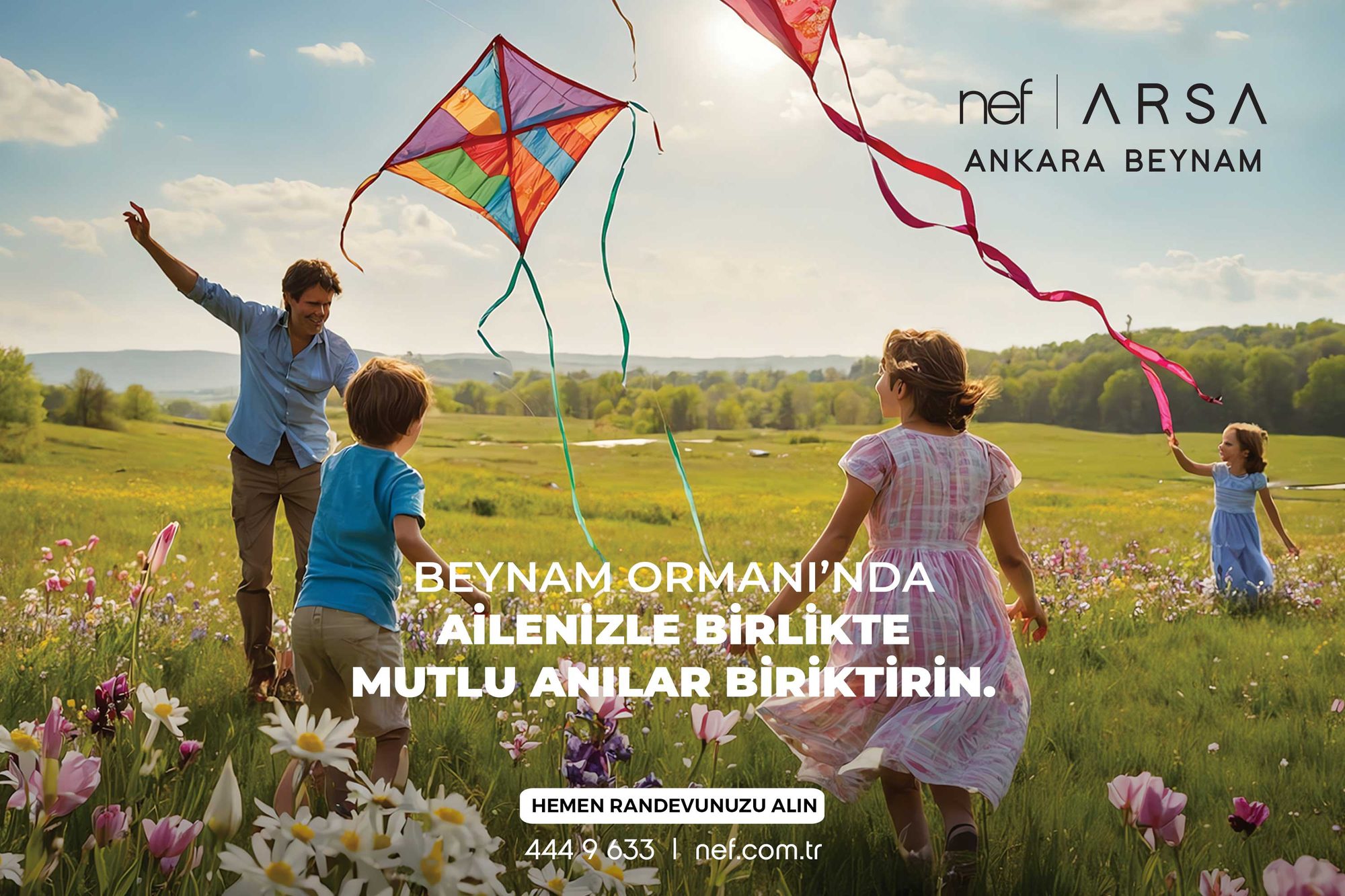 Nef Arsa Ankara Beynam