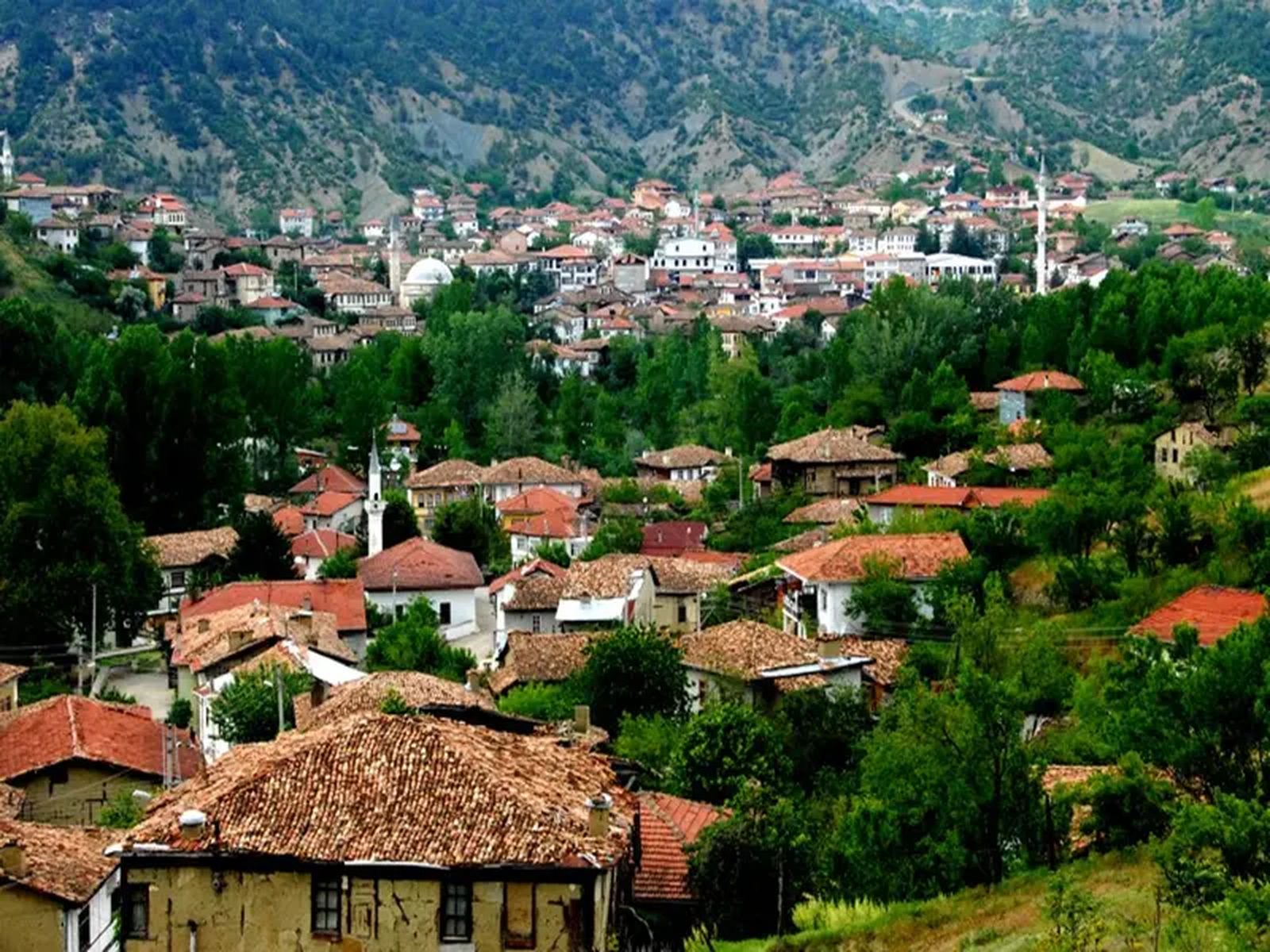 Nef Arsa Sakarya Taraklı